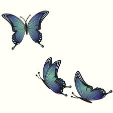 papillons